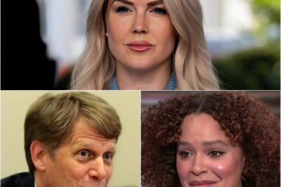 A tense legal battle ensued, after the MSNBC host made an unprovoked direct attack on Karoline, angering sponsors and viewers alike