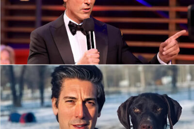 Shake-Up at ABC? The Secret Power Plays and Succession Whispers Behind David Muir’s Future