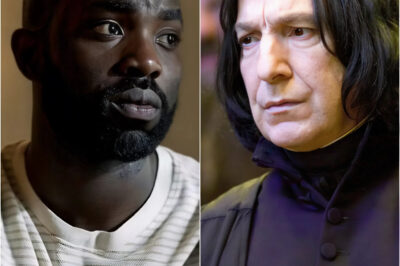 “Don’t take your anger out on me!”: The actor’s desperate plea in the new “remake” Harry Potter series, sent to the fanatic fans who are attacking him one-sidedly