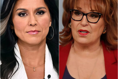 The Invisible Moment That Changed Everything: How Tulsi Gabbard Dethroned Joy Behar on The View, Shocking the Internet.