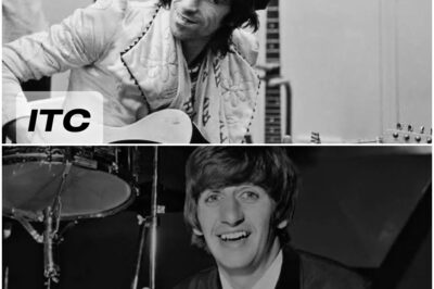 The Quiet Verdict: Why Keith Richards’ Silence on Ringo Starr’s Drumming is His Most Powerful Compliment