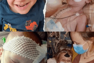 “6 Surgeries, One Tiny Heart — and a Family That Refuses to Give Up”.2334