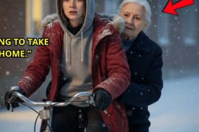 Poor Girl Helped The Lost Woman Everyone Ignored. She Was The Mafia Boss’s Mother.