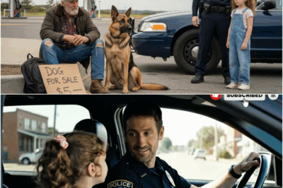 Can I Buy That Dog, Daddy? — Dad Froze What Happened Next Broke Everyone’s Heart