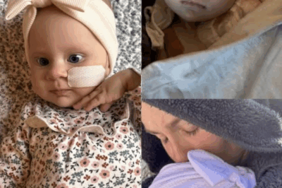 Kennedy’s Cancer Is Spreading — A Mother’s Heartbreak Beyond Words.2374