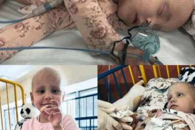 “Fighting for Noemi — A Little Girl’s Battle Against Neuroblastoma”.2317