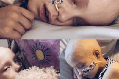 Rest, Hope, and Courage — Isla’s Ongoing Battle with Cancer.2427