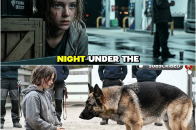 Billionaire Bets A Million Dollars No One Can Calm His Dog — Then a Homeless Little Girl Steps In