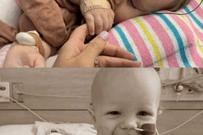 “In Loving Memory of Lola — Our Beautiful, Brave Baby Girl”.2439