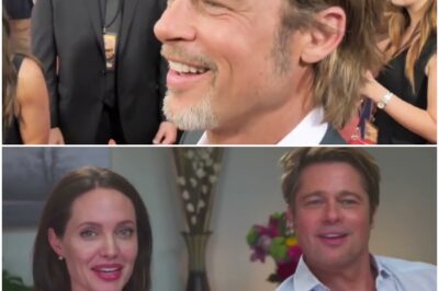 At 61, Brad Pitt’s Bombshell Confession: “She Was The Love Of My Life”