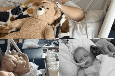 “The Brave Heart of Texas: Owen’s Battle Against Leukemia”.2275