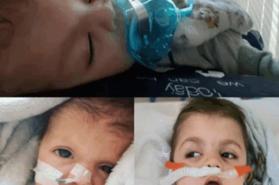 The Silence After the Cry — Oskar’s Fight to Be Heard Again.2233