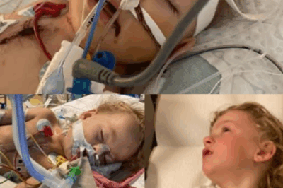 “A Heart Healed by Hope: Natan’s Miracle in Geneva”.2335