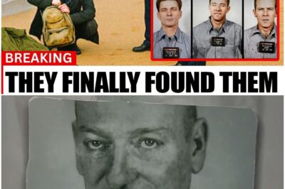 FINALLY SOLVED: How AI Cracked the 55-Year-Old Alcatraz Escape Mystery and Found the Vanished Brothers Alive in Brazil