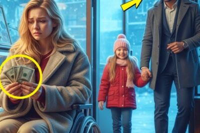 $3. That’s all I have for my birthday cake.” The young woman’s whisper barely reached the bakery clerk, who looked down at the crumpled bills with genuine sorrow. Outside, snow fell on the quiet street, while inside, Emma sat frozen in her wheelchair, staring at the smallest cake in the display.