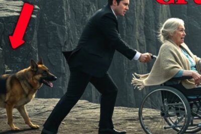 Help! Help! It happened so fast, nobody in town saw it coming. A wealthy young man, dressed sharp in his designer suit, wheeled his own mother, frail, gay-haired, wrapped in nothing but a thin shawl, right to the edge of Blackwood Cliff. The rocks dropped straight into the roaring river below.