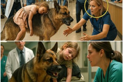 Defying Logic: The German Shepherd Who Marched Into an Emergency Room with a Wounded Girl, Unraveling a Chilling Story of Abduction and Heroism