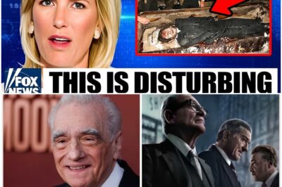 Decades-Long Mystery Solved: Jimmy Hoffa’s Body Found—But the Chilling Discovery Reveals a Twenty-Year Conspiracy