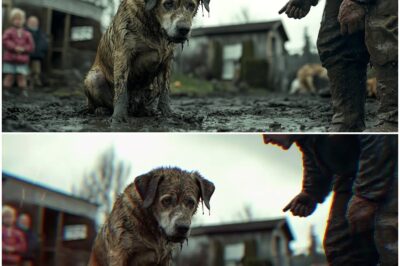 From Abused Pup to Unlikely Hero: The Incredible True Story of Max the Dog