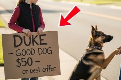 Buy Dog For Me, Sir… Mommy Hasn’t Eaten In Two Days” — Bikers Learned Who Took Everything From Her