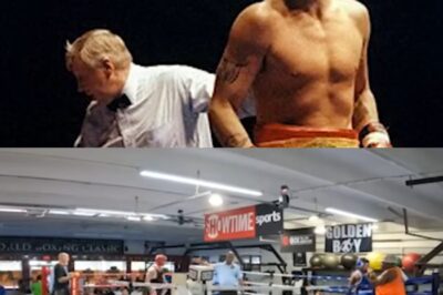 From Heartthrob to Hurting: The Tragic Fall, Brutal Surgeries, and Unexpected Canine Lifeline of Mickey Rourke