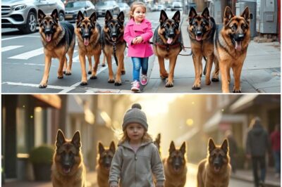 The Silent Girl, Her Six German Shepherds, and the Town’s Darkest Secret: A Community Divided by Grief, Guilt, and an Unthinkable Confession