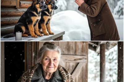 An Old Woman’s Act of Kindness Towards Two Freezing Puppies Leads to a Shocking Police Raid on Her Home