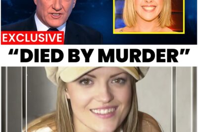 Pop Idol UK: The Unforgettable Journeys of 11 Beloved Contestants