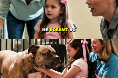 The Unbreakable Bond: How a Little Girl’s Intuition Tamed the Shelter’s Most Feared Dog