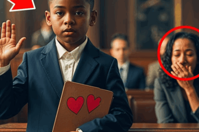 “I Am My Mother’s Lawyer”: How a 9-Year-Old Used a Public Library to Expose His Millionaire Father’s $1.7M Custody Plot