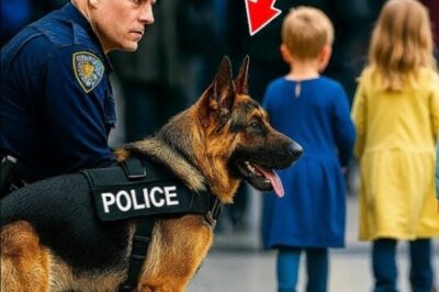 It was another ordinary day at JFK airport. Travelers rushed past each other, families clutching passports, business flyers glued to their phones, children tugging impatiently at their parents’ sleeves. The terminal buzzed with the usual chaos. But Officer Ryan Keller wasn’t distracted. His job was to see what others missed.