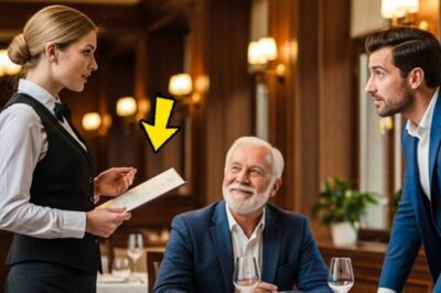 You can’t read that. CEO sneers. Waitress translates the contract and walks away a billionaire. The coffee cup trembled in Grace’s weathered hands as she wiped down table 12 for the third time that evening. At 36, she’d been serving tables at Morrison’s Fine Dining for nearly 8 years, watching wealthy businessmen in thousand suits discuss deals worth more than she’d make in a lifetime.