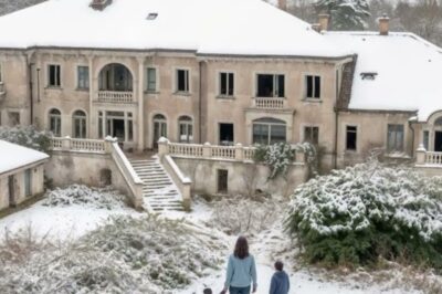 Widow Buys Abandoned Mafia Mansion For $100 — What She Finds Hidden Inside Will Shock Everyone