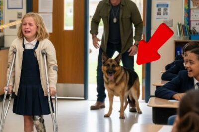 A Veteran and His Dog Came to Pick Up His Disabled Daughter — What He Saw Inside Was Horrifying