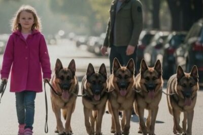 A Little Girl Walks Her Dogs Every Morning, Until People Discover She Is Hiding Shocking Secret!