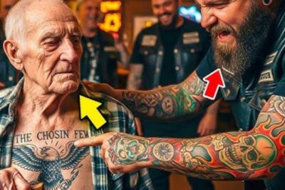 Bikers Messed With an Old Disabled Veteran — 20 Minutes Later, Navy SEALs Showed Up