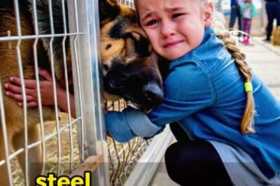 Daughter of Dead Cop Walks Into German Shepherd Auction Alone — The Reason Why Is Shocking!