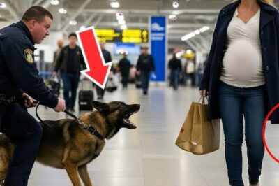 Police Dog Barks Desperately at Pregnant Woman… But When Police Realized the Truth, It Was Too Late!