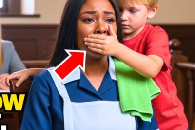 Maid Accused By Billionaire Went To Court Without Lawyer — Until His Son Appeared And Exposed This