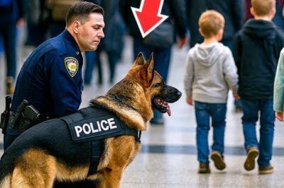 Little Girl’s Gave Silent Signal to Police Dog What This Dog Did Next Shocked Everyone