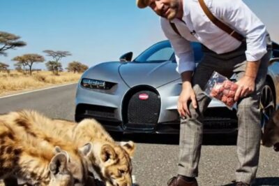 The Serpent’s Coil and the Lion’s Fate: Inside the Heroic, Hour-Long Rescue of a Mother Lion from a Massive Python