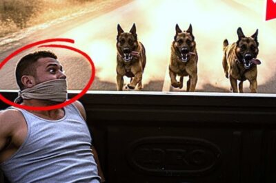 The desert highway was silent under the burning sun when a battered pickup truck pulled into an empty rest stop. A US Marine, uniform torn and eyes clouded with pain, stumbled out, scanning the horizon. He knew he was being hunted. With trembling hands, he scratched a faint mark beneath a wooden bench. A hidden signal only the train would recognize.