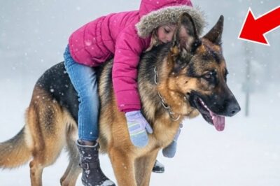 The wind cut sideways through the pines, dragging sheets of snow across the ridge line like white fire. Nothing moved in Red Pine. The power had gone out the night before. The landlines, followed by sunrise, and the only signal left came from the blinking hazard lights of a snowmobile stalled outside the ranger station.