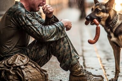 A German Shepherd dog materialized from the rain swept alley alone, limping, his fur matted with grime and alley filth. He had been beaten, discarded, and left to die. But just feet away, huddled against the same cold brick, a man was also left to die, not by ropes, but by betrayal.