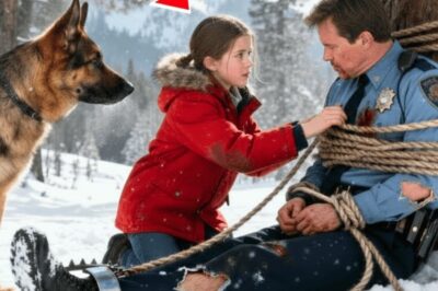 The bark shattered six months of silence. Laya’s fingers dug into blooded fur as Rex pulled her forward through the Montana pines. 18° below zero. Darkness swallowing the forest hole. Her father’s voice echoed in her skull. Dogs know things people don’t. She stopped breathing when she saw the shadow.