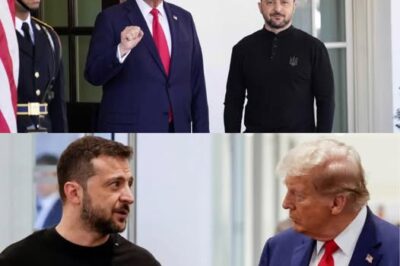 A peace meeting intended to bring nations together has turned into a political firestorm, and a viral video from a former FBI director has just made everything ten times worse. What was supposed to be a moment of global unity quickly devolved into a brutal media war, exposing deep fractures in the political and media establishment. This isn’t just about diplomacy; it’s a shocking look at how a simple act of peacemaking can be twisted into a dangerous narrative of bullying and division. The emotional accusations are flying, and the public is left to sort through the chaos. You won’t believe the explosive revelations and the raw, unedited moments that were caught on camera. Get the full, explosive story and see the video that sparked a global controversy by checking out the link in the comments.