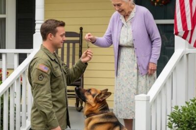 The lion cubs ran toward her, massive, muscular, and wild. But what they did next left every soul at the reserve in absolute shock. They didn’t growl. They didn’t pounce. Instead, they curled up beside the German shepherd who had once nursed them with her own milk and started to purr. It all began with the mother’s rejection.