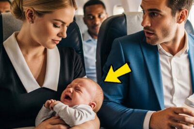 waitress sang a lullaby to a crying child on the plane, not knowing the father was a billionaire. What if a simple act of kindness could change two lives forever? Grace wiped down the sticky airplane tray table for the third time, her back aching from the long shift that started before dawn. The redeye flight from Denver to Chicago was nearly empty, just a handful of passengers scattered throughout the cabin. That’s when she heard it.
