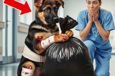 The wind screamed like a banshee across the parking lot of Winterfield Regional Hospital, whipping snow sideways in thick, blinding sheets. Oregon hadn’t seen a blizzard like this in 30 years, and the emergency room staff was stretched thin. The front doors shuttered under the weight of ice, and generator power flickered now and then, casting the halls in a ghostly glow.