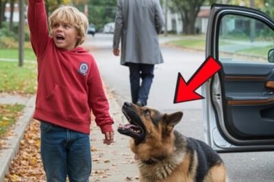 The late afternoon sun filtered through the maple trees lining Birch and Alder Street in Riverside, casting long shadows that danced across the sidewalk. A breeze carried the earthy scent of damp leaves and wood smoke. It was the kind of small town calm Officer Nate Ellison had come to appreciate after 10 years in the field.